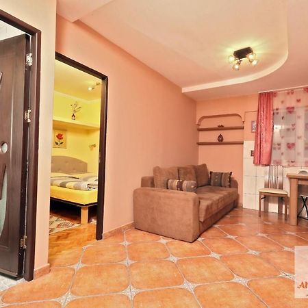 Ferienwohnung Garsoniera Ania Băile Felix Exterior foto