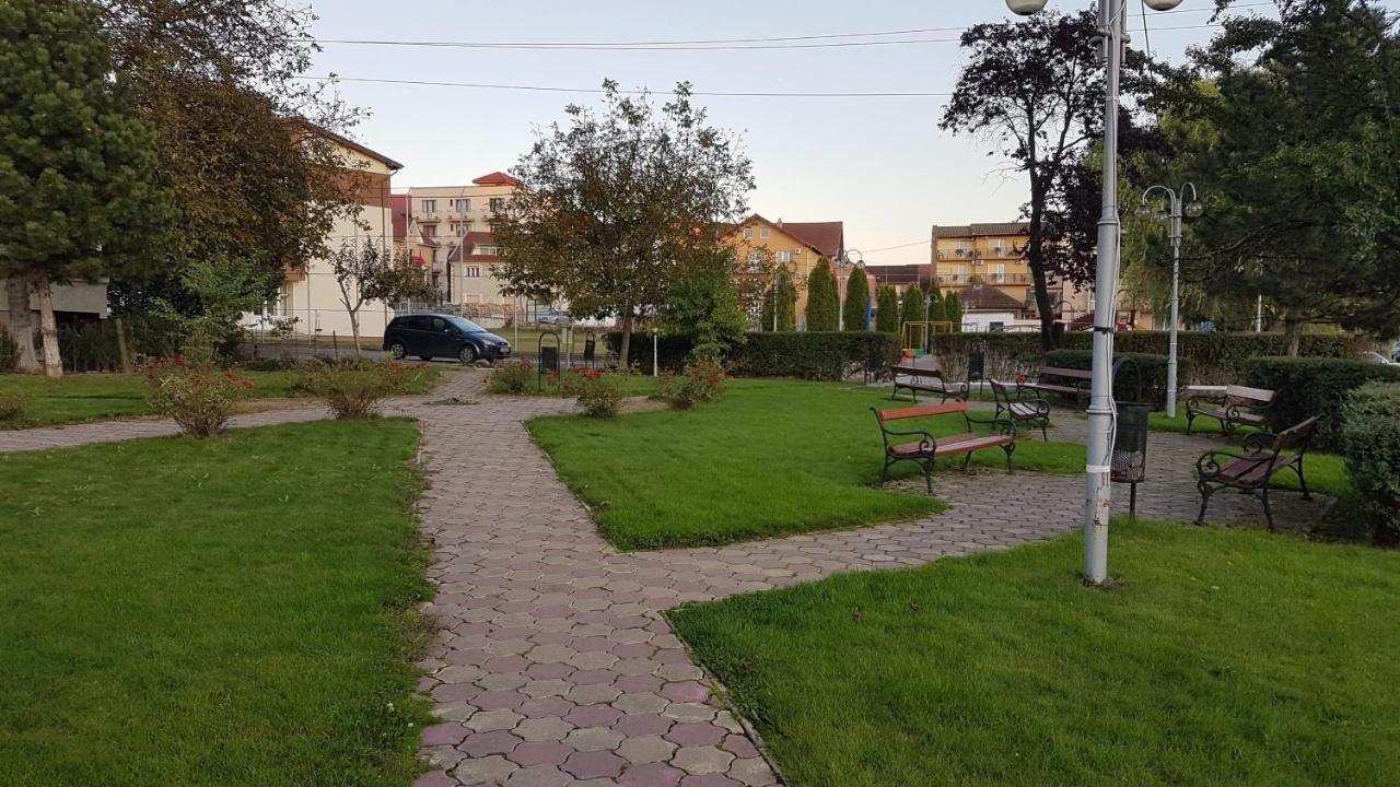 Ferienwohnung Garsoniera Ania Băile Felix Exterior foto