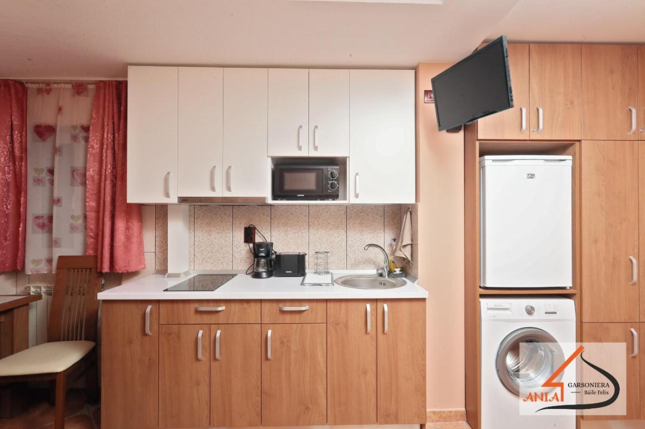 Ferienwohnung Garsoniera Ania Băile Felix Exterior foto