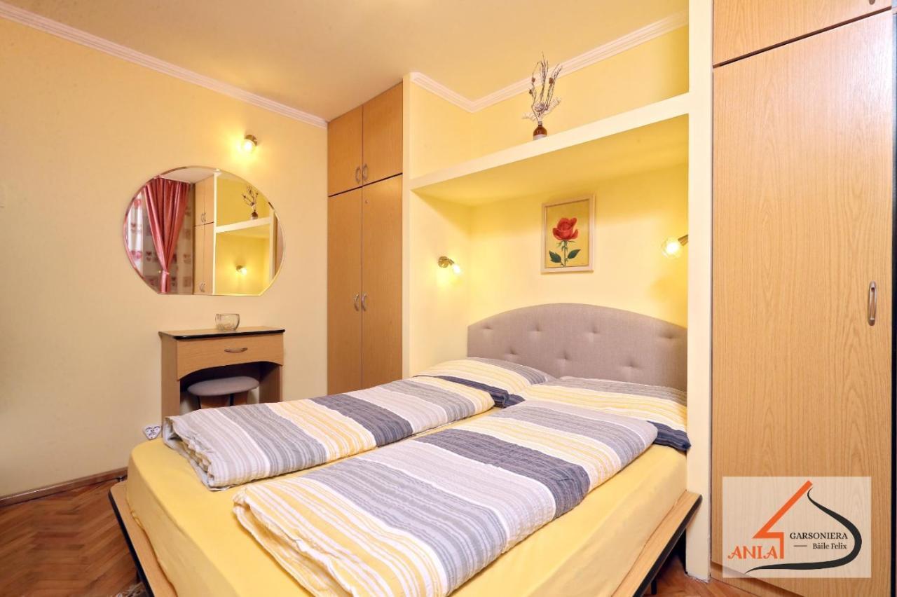 Ferienwohnung Garsoniera Ania Băile Felix Exterior foto