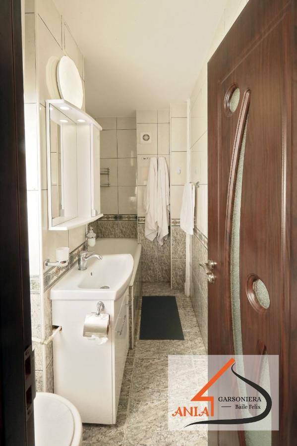 Ferienwohnung Garsoniera Ania Băile Felix Exterior foto