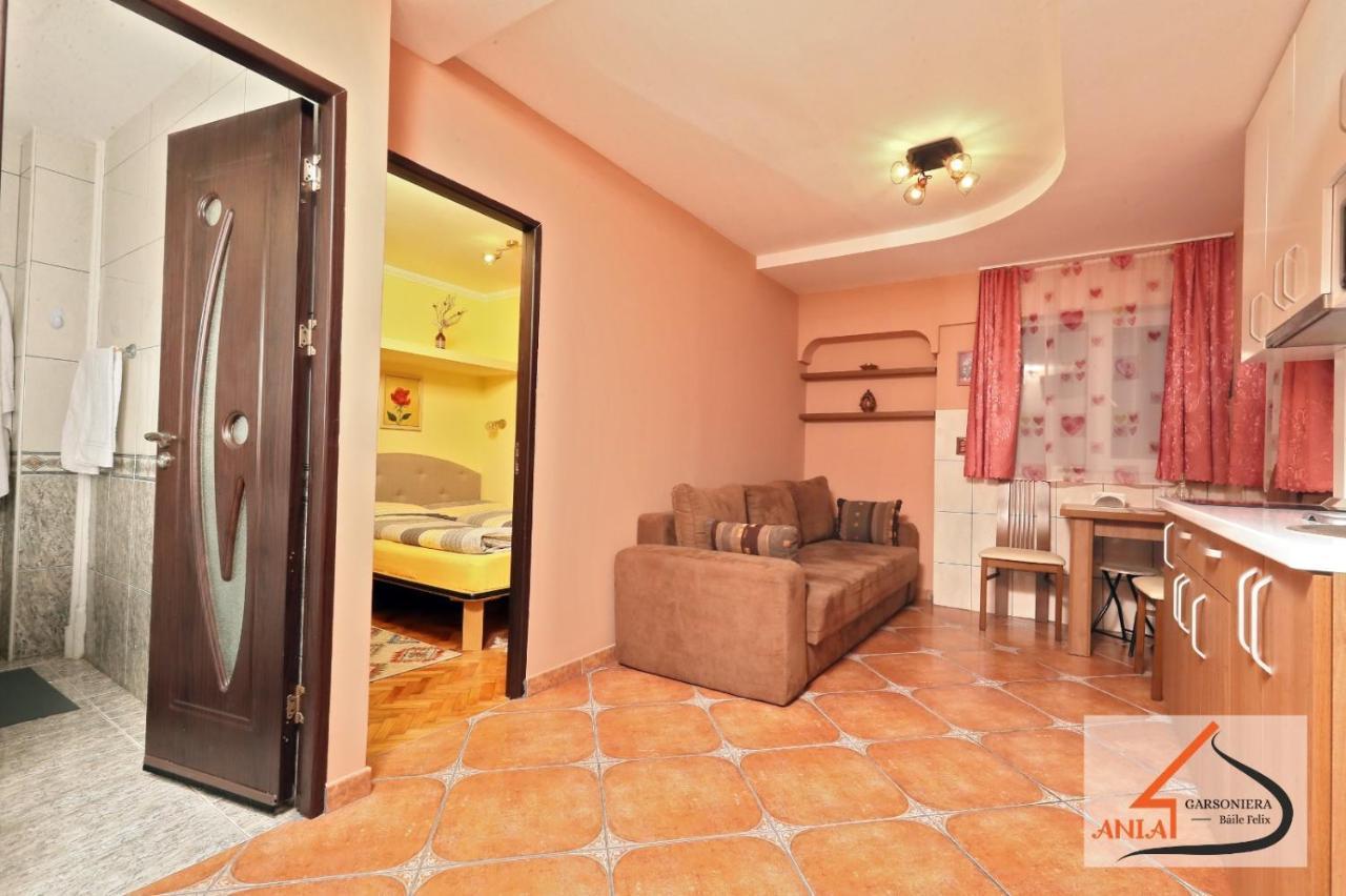 Ferienwohnung Garsoniera Ania Băile Felix Exterior foto